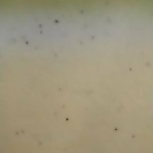 Meet your Posher, Georgina